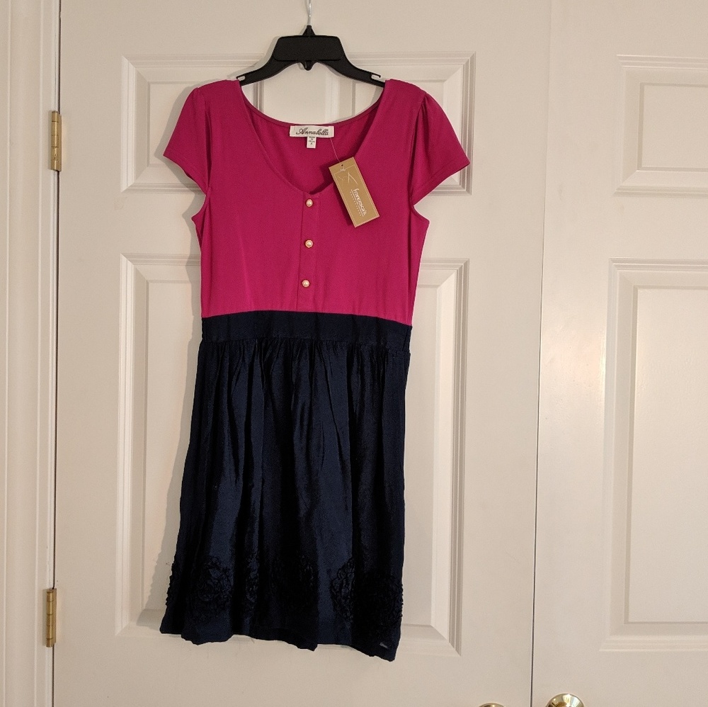 Francesca's Rosette Fit and Flare Dress